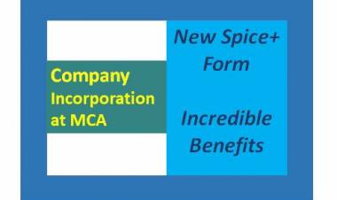 NEW SPICE+ FORM FOR REGISTRATION OF COMPANY - INCREDIBLE BENEFITS 