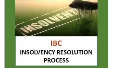 Insolvency Resolution Plan - Understanding of Process