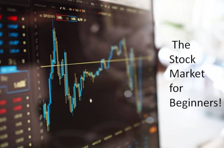 The Stock Market for Beginners!!! - ProfZilla