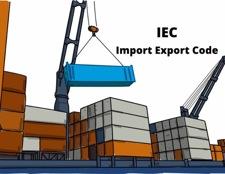 Import Export Code - Iec - Profzilla